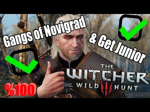 How to FULLY complete Gangs of Novigrad AND Get Junior WITHOUT A SINGLE FAIL!!! | The Witcher 3