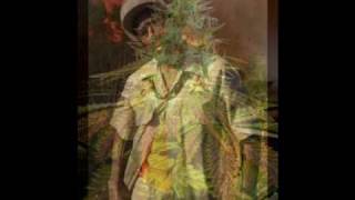 Cocoa Tea - Revolution