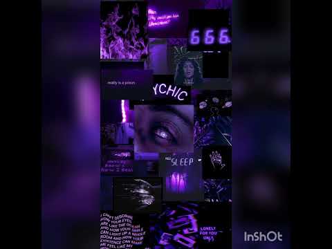 Kwauri ikoko-Foxiey Bee