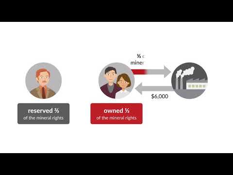 Brown v. Lober Case Brief Summary | Law Case Explained