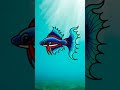 Ikan Hias Cupang Drawing Animal