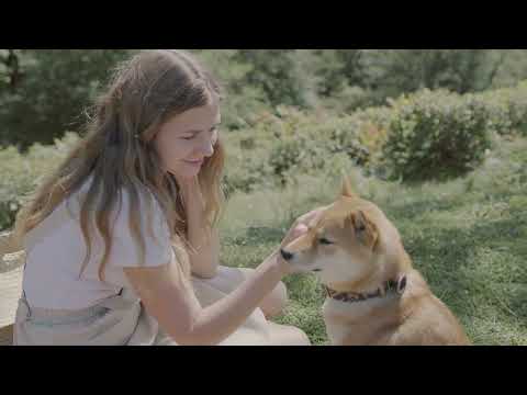 Sunset Grooves: DJ Burlak's Tropical Fusion - Oasis Beach & Beach Bar Delete | Descarga Gratuita"