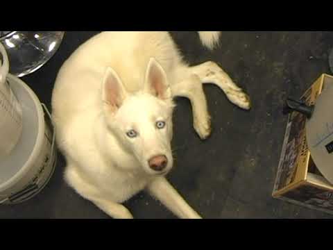 HOMEBREW WEDNESDAY # HBW 179