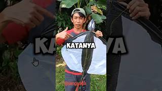 Download lagu Bang Jang Yaya's Unique Kite 😱🗿 #shorts mp3 Download lagu Bang Jang Yaya's Unique Kite 😱🗿 #shorts mp3