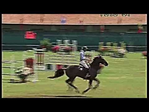 Rock Star Castellane - CSI2* Sanremo 130 (22.06.13)