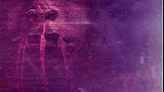 Eyelash - Big Electric Cat