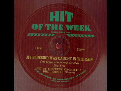 MY BLUEBIRD WAS CAUGHT IN THE RAIN  HIT OF THE WEEK