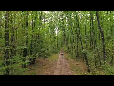 Valentin Sanfira- Nu mă judeca dacă nu mă știi  🎤 NOU🎤