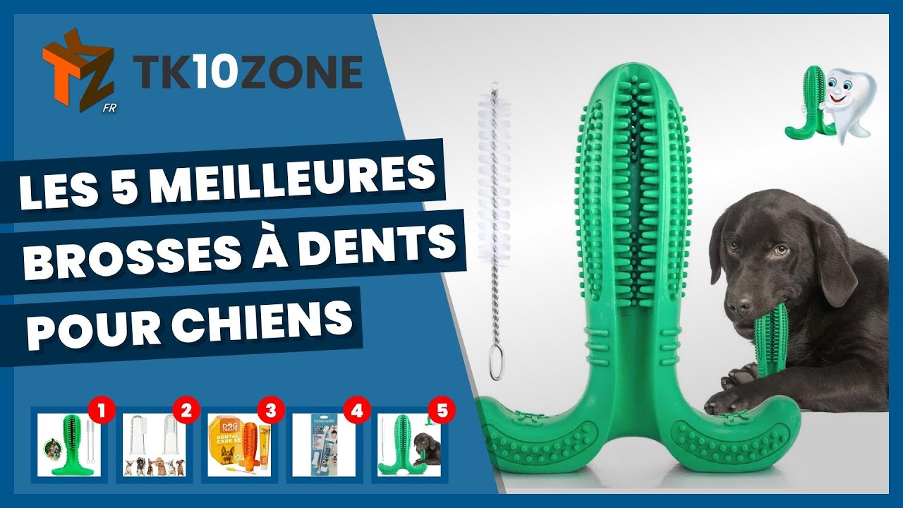 Les 5 meilleures brosses à dents pour chiens