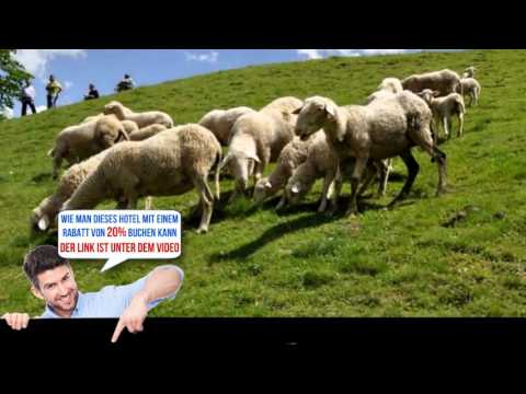 Apartments Ribnica, Ribnica na Pohorju, Slovenia