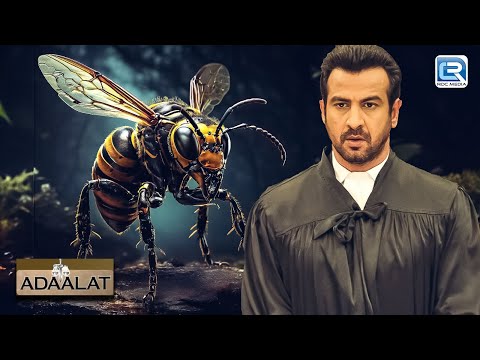 K.D. PATHAK के पास आया अनोखा क़ातिल मक्खी का CASE | अदालत | Adaalat | Full Episode 261+262
