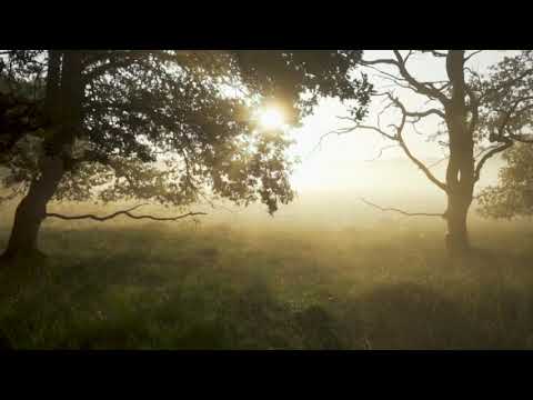 Vladan Vuckovic Paja – Spunje, spunje – CD 20 dugih toplih leta - Official video 2020 HD