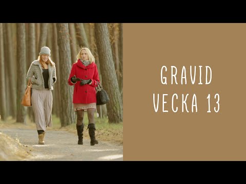 Gravid vecka 13