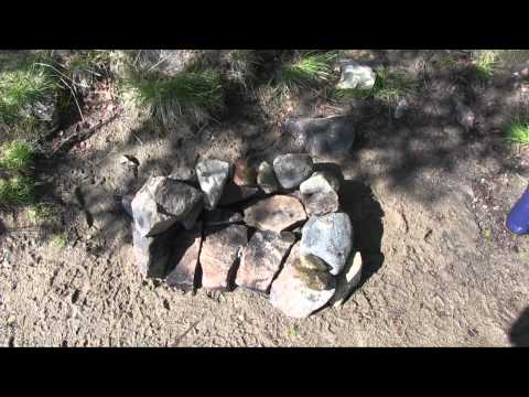 Kivikautinen kiuashauki