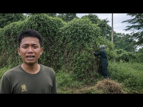 Young Man Returns to His Childhood Home After Years Away | Extreme Cleanup
