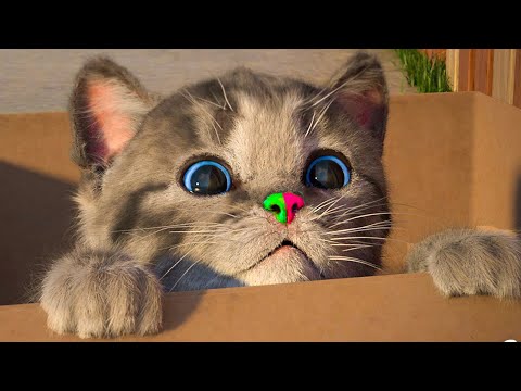 CARTOON LITTLE KITTEN ADVENTURE - FUNNY VIDEO WITH A CAT AND A PLAYFUL KITTEN