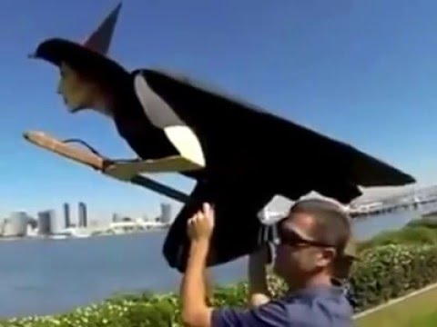 185 - Vještica na metli