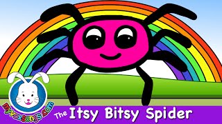 Itsy Bitsy Spider 