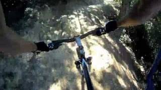 Resolution trail - Skeggs Point