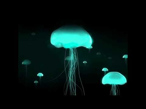 Mike Monday & Will Saul-Zippo (Main Mix)