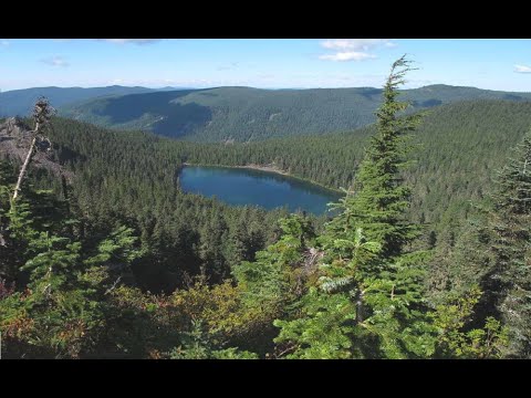 10 More Strangest National Park Disappearances - Volume 30