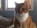 Shortest Video On Youtube Parts 1 30
