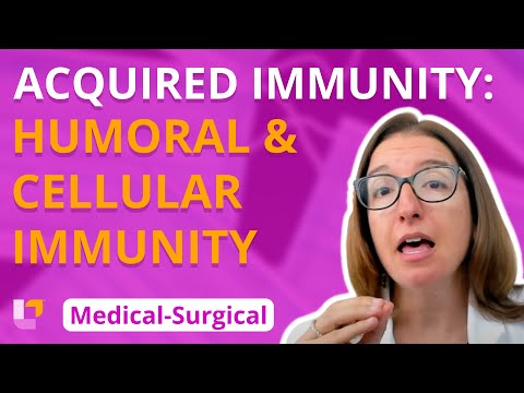 Acquired Immunity: Humoral and Cellular Immunity - Medical Surgical - Immune | @LevelUpRN