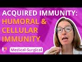 Acquired Immunity: Humoral and Cellular Immunity - Medical Surgical - Immune | @LevelUpRN