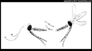 No-Man - Heaven Taste (Nasty Boy Remix)