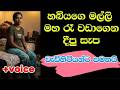 හබියගෙ මල්ලි මහ රෑ වඩාගෙන දීපු සැප Sinhala K