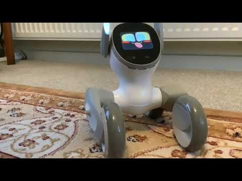 (HÀNG CÓ SẴN) Robot thông minh Loona - Người bạn đồng hành thông minh