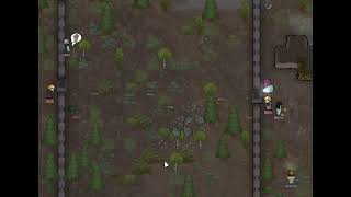 Video 4