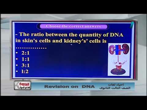 أحياء لغات 3 ثانوي حلقة 31 ( Revision on DNA ) أ شريف فرغلي 16-04-2019