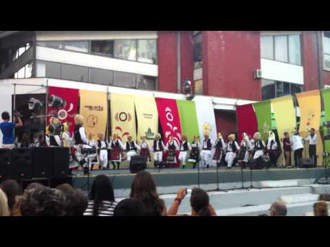 Homoljski Motivi 2011,Starcevo