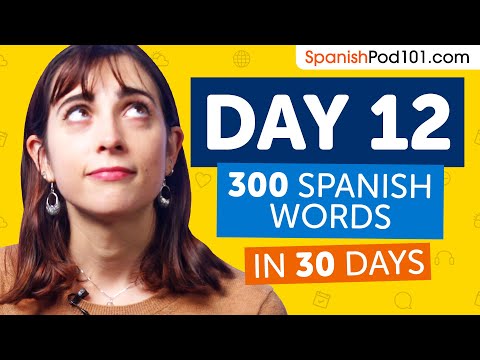 Day 12: 120/300 | Learn 300 Spanish Words in 30 Days Challenge
