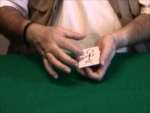 Cardboard Curiosities by Wild-Colombini