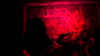 Avulsed - Amidst the Macabre/Stabwound Orgasm