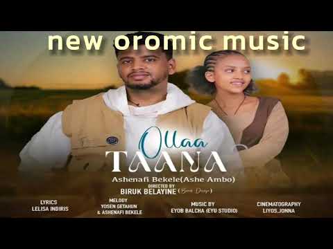 Ashenafi bekele    ollaa Taana   oromic music 2025 /online bussiness money making ethio music