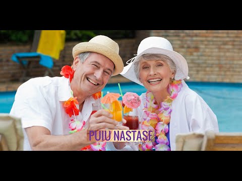 Puiu Nastase -cantecul pensionarului-(limba romana) -(dulcea lene)-Bolje živim nego ministar)