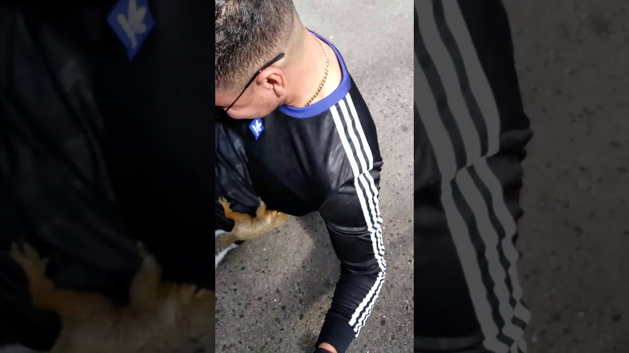 Funny! Killer squirrel attacks guy!