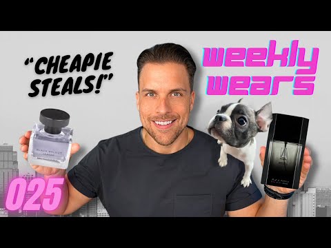 INCREDIBLE Cheap Fragrances You Should Know!  | Weekly Fragrance Wears 025