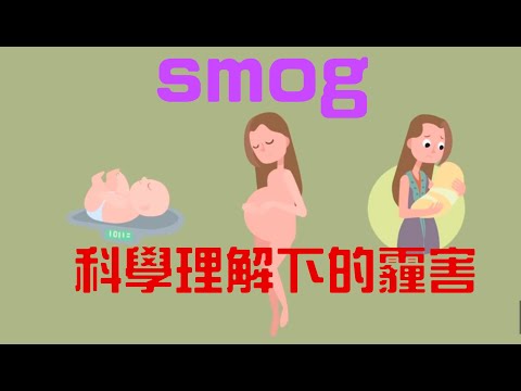 The science of smog - Kim Preshoff「中文字幕」