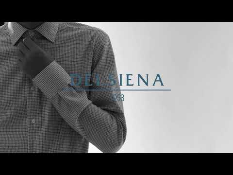 Delsiena service to retail - B2B presentation
