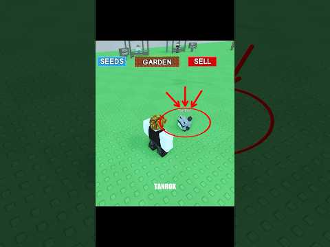 The smartest raccoon in grow a garden #roblox #growagarden