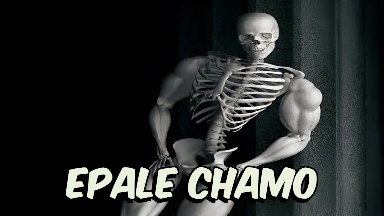 Shitposting Compilation V52