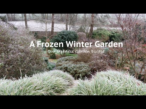 Frozen Winter Garden Tour | Our Japanese Garden Escape
