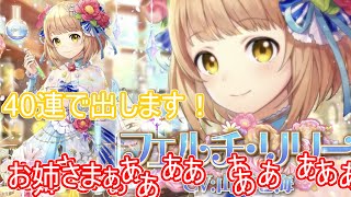 フェルチお姉様を４０連で出迎えます！！！（黒猫のウィズ）
