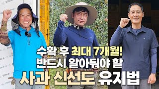 7개월 동안 신선도 & 고품질 유지! 고수들의 사과 수확 및 저장법 스마트오션
