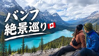 【カナダ🇨🇦】バンフ観光の王道ルート|コロンビア大氷原から絶景スポットを巡る1日