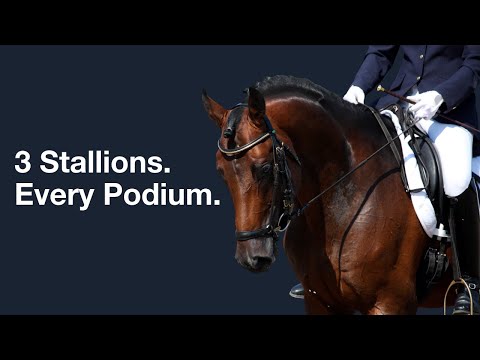 Why Only 3 Bloodlines Reach the Olympic Podium